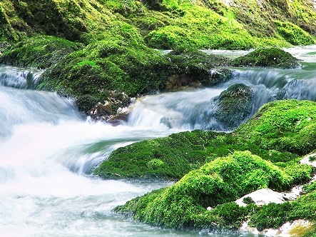 Kläranlagen Kläranlagen